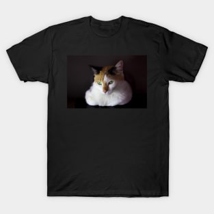 white cat green eyes T-Shirt